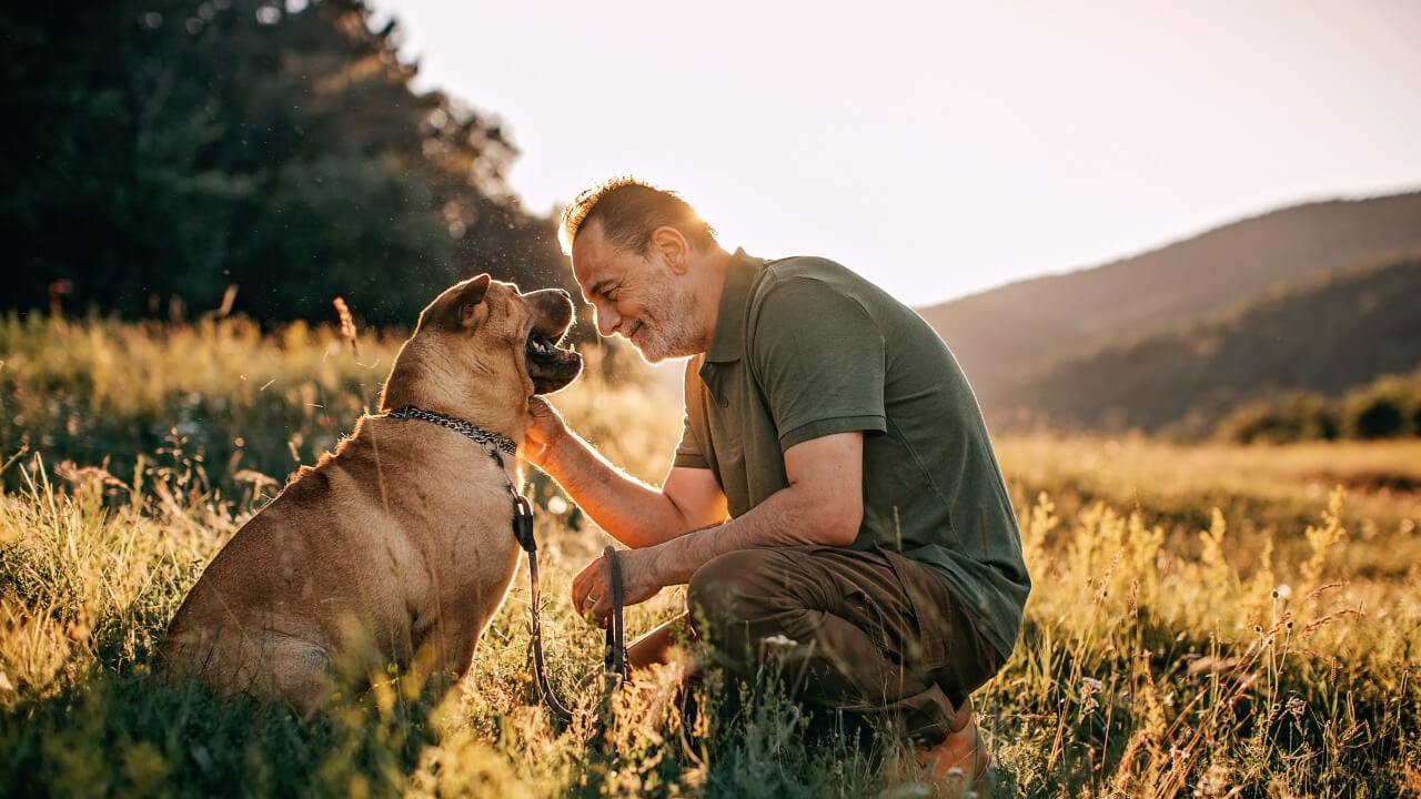legalsuper partners with Mental Health First Aid A man playing with his dog outside.